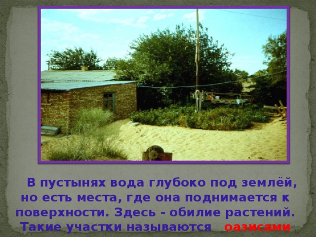  В пустынях вода глубоко под землёй, но есть места, где она поднимается к поверхности. Здесь - обилие растений. Такие участки называются оазисами 