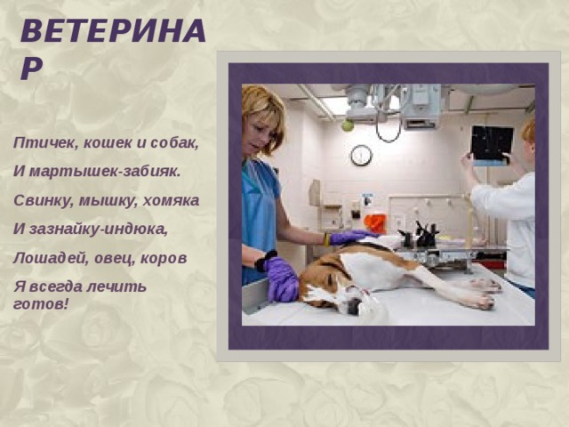 вЕТЕРИНАР Птичек, кошек и собак, И мартышек-забияк. Свинку, мышку, хомяка И зазнайку-индюка, Лошадей, овец, коров Я всегда лечить готов! 