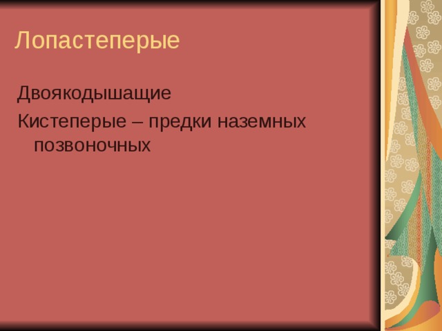 Лопастеперые Двоякодышащие Кистеперые – предки наземных позвоночных 