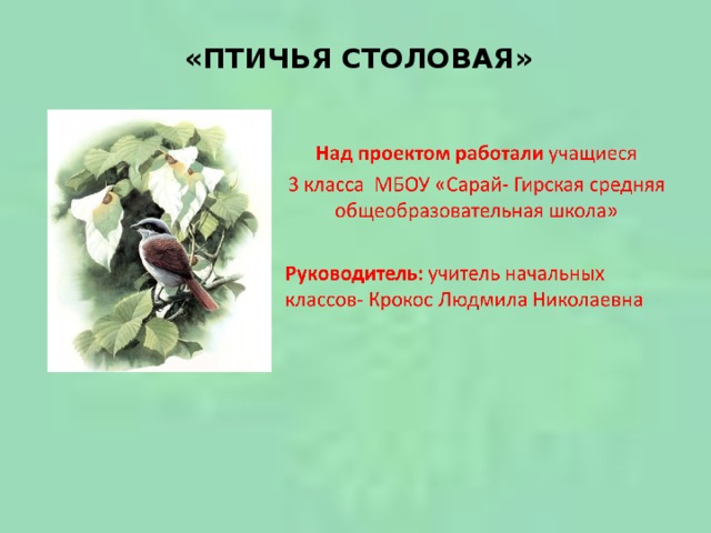 «ПТИЧЬЯ СТОЛОВАЯ» 