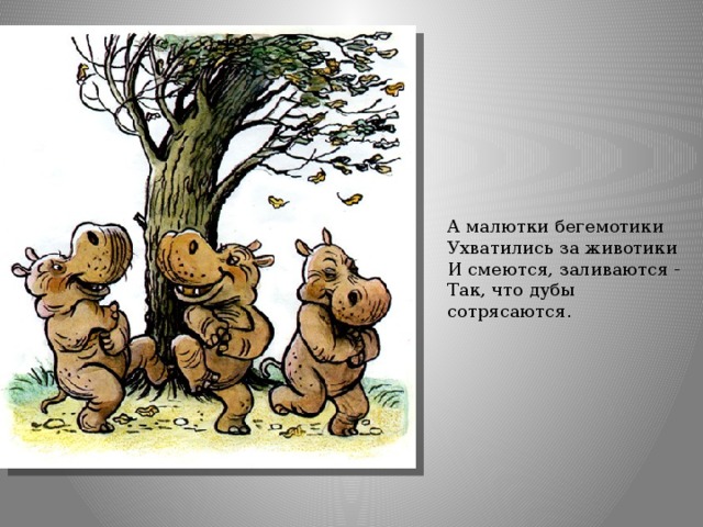 А малютки бегемотики  Ухватились за животики  И смеются, заливаются -  Так, что дубы сотрясаются. 