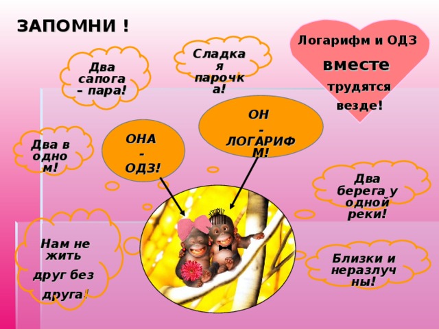 ЗАПОМНИ ! Логарифм и ОДЗ вместе трудятся везде! Сладкая парочка! Два сапога – пара! ОН - ЛОГАРИФМ ! ОНА - ОДЗ! Два в одном! Два берега у одной реки!  Нам не жить друг без друга! Близки и неразлучны! 
