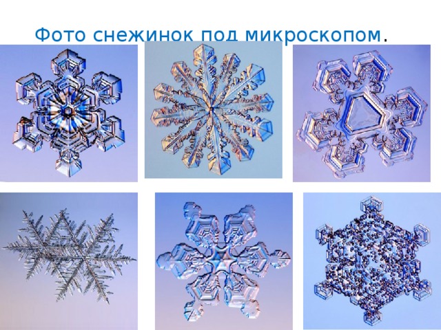  Фото снежинок под микроскопом .   
