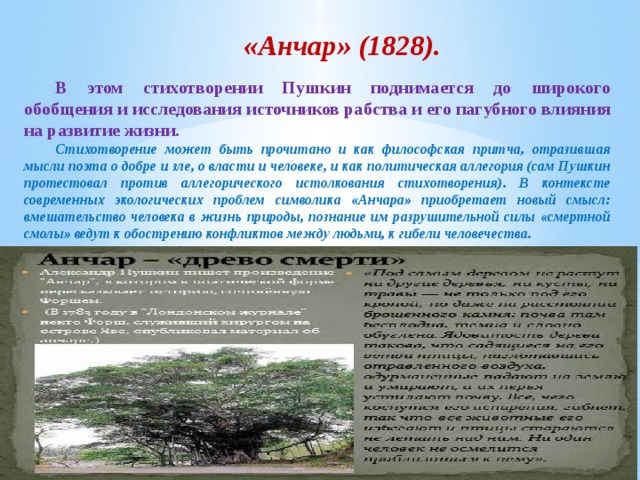 «Анчар» (1828). В этом стихотворении Пушкин поднимается до широкого обобщения и исследования источников рабства и его пагубного влияния на развитие жизни. Стихотворение может быть прочитано и как философская притча, отразившая мысли поэта о добре и зле, о власти и человеке, и как политическая аллегория (сам Пушкин протестовал против аллегорического истолкования стихотворения). В контексте современных экологических проблем символика «Анчара» приобретает новый смысл: вмешательство человека в жизнь природы, познание им разрушительной силы «смертной смолы» ведут к обострению конфликтов между людьми, к гибели человечества. 