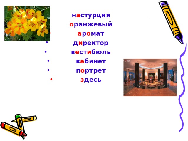 н а стурция о ранжевый а р о мат д и ректор в е ст и бюль к а бинет п о ртрет з десь 