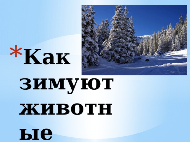 Как зимуют животные 