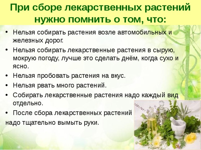 При сборе лекарственных растений нужно помнить о том, что: Нельзя собирать растения возле автомобильных и железных дорог. Нельзя собирать лекарственные растения в сырую, мокрую погоду, лучше это сделать днём, когда сухо и ясно. Нельзя пробовать растения на вкус. Нельзя рвать много растений. Собирать лекарственные растения надо каждый вид отдельно. После сбора лекарственных растений надо тщательно вымыть руки. 