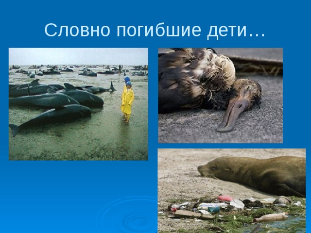 Словно погибшие дети… 