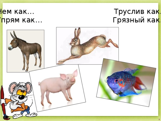Нем как… Труслив как… Упрям как… Грязный как… 