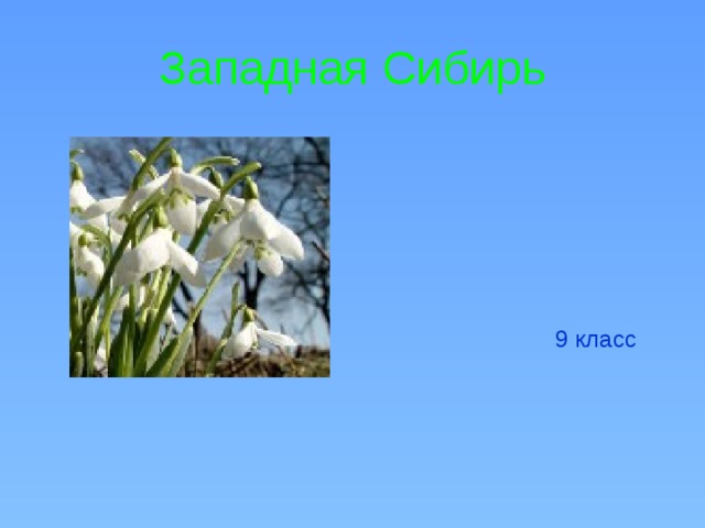 Западная Сибирь  9 класс 