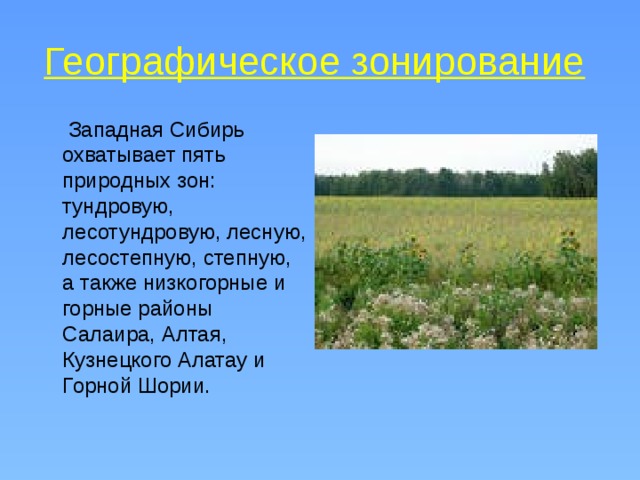 Географическое зонирование   Западная Сибирь охватывает пять природных зон: тундровую, лесотундровую, лесную, лесостепную, степную, а также низкогорные и горные районы Салаира, Алтая, Кузнецкого Алатау и Горной Шории. 