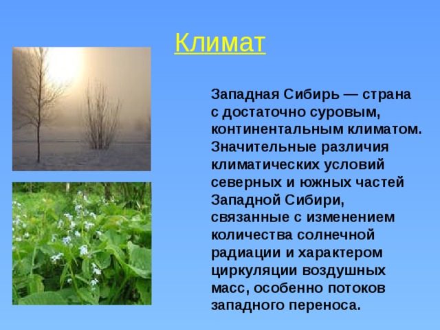 Климат Западная Сибирь — страна с достаточно суровым, континентальным климатом. Значительные различия климатических условий северных и южных частей Западной Сибири, связанные с изменением количества солнечной радиации и характером циркуляции воздушных масс, особенно потоков западного переноса. . 