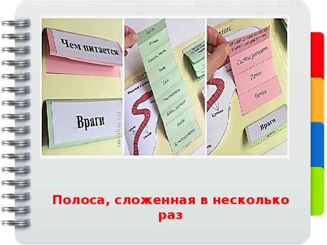 Полоса, сложенная в несколько раз 