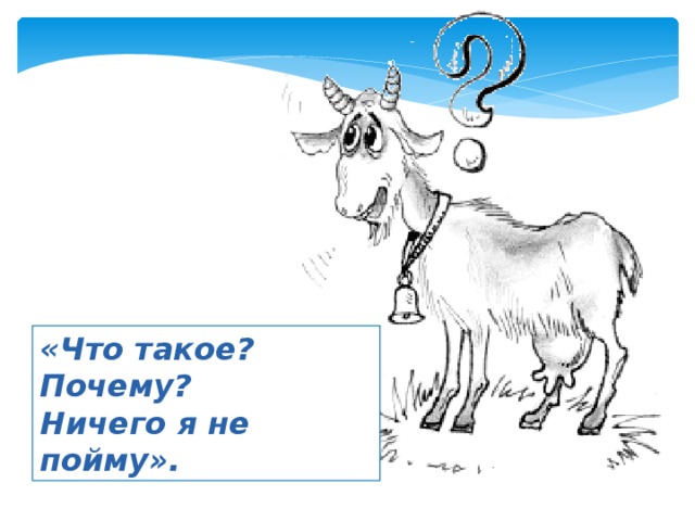 «Что такое? Почему? Ничего я не пойму». 