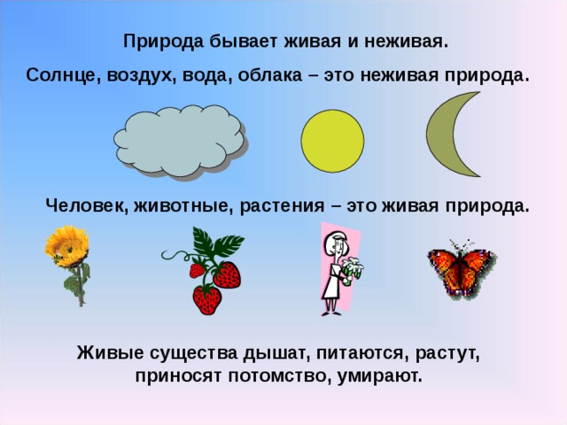 Природа бывает живая и неживая. Солнце, воздух, вода, облака – это неживая природа. Человек, животные, растения – это живая природа. Живые существа дышат, питаются, растут, приносят потомство, умирают. 