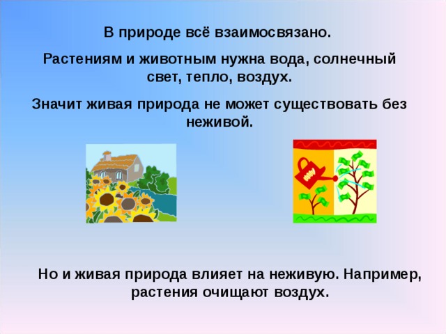 В природе всё взаимосвязано. Растениям и животным нужна вода, солнечный свет, тепло, воздух. Значит живая природа не может существовать без неживой.  Но и живая природа влияет на неживую. Например, растения очищают воздух. 