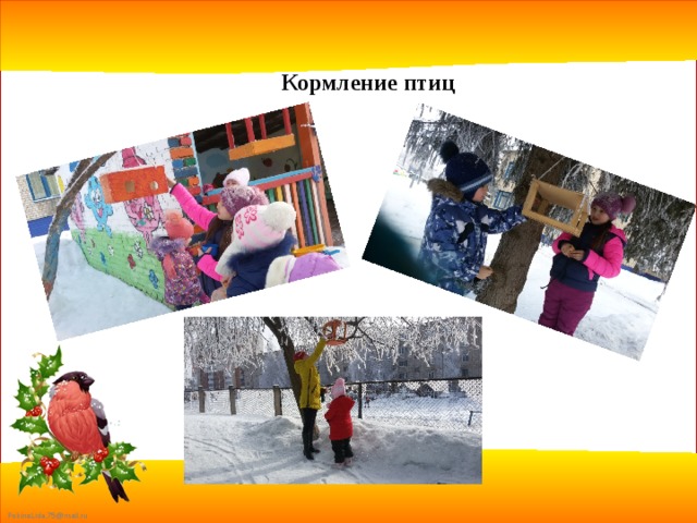 Кормление птиц 