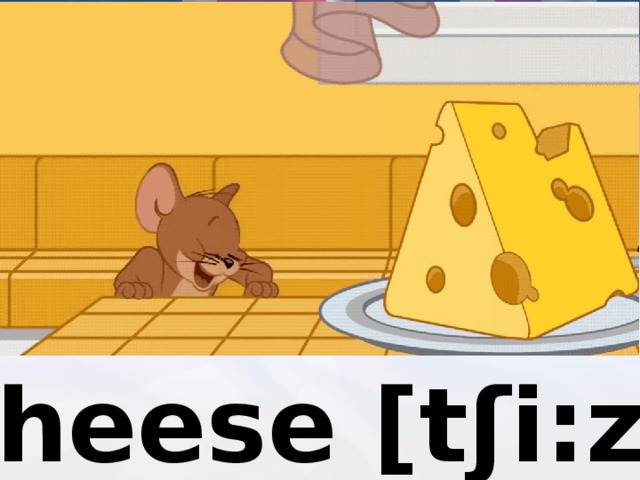 сheese [tʃi:z] 