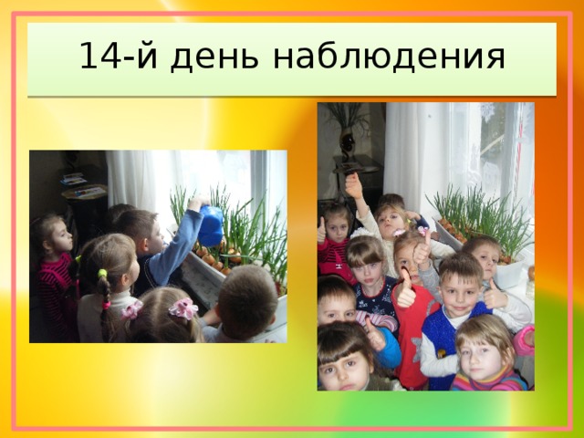 14-й день наблюдения 