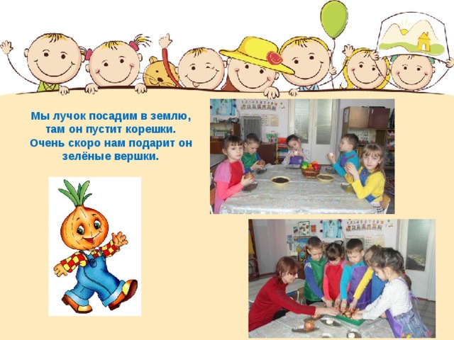 Мы лучок посадим в землю, там он пустит корешки. Очень скоро нам подарит он зелёные вершки. 