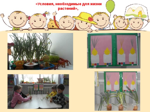 «Условия, необходимые для жизни растений», 