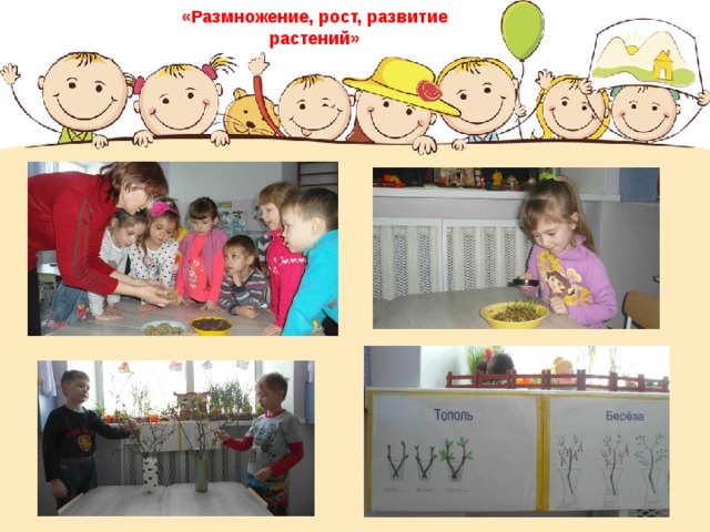 «Размножение, рост, развитие растений» 