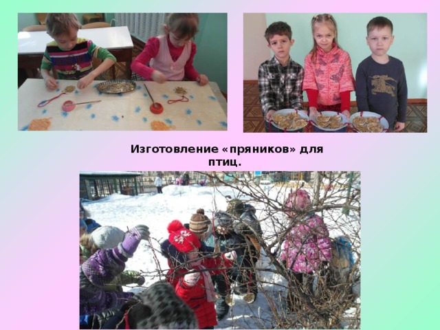     Изготовление «пряников» для птиц. 