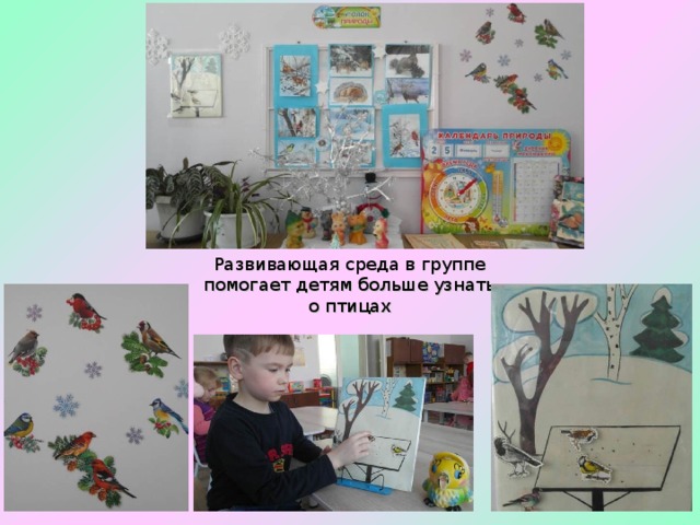 Развивающая среда в группе помогает детям больше узнать о птицах 
