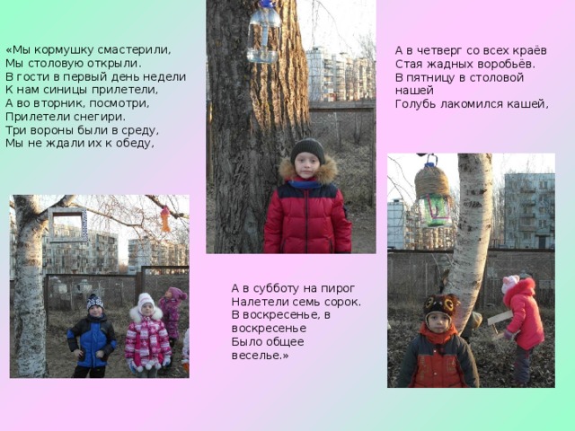 «Мы кормушку смастерили, Мы столовую открыли. В гости в первый день недели К нам синицы прилетели, А во вторник, посмотри, Прилетели снегири. Три вороны были в среду, Мы не ждали их к обеду, А в четверг со всех краёв Стая жадных воробьёв. В пятницу в столовой нашей Голубь лакомился кашей, А в субботу на пирог Налетели семь сорок. В воскресенье, в воскресенье Было общее веселье.» 