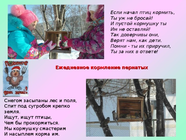 Если начал птиц кормить,  Ты уж не бросай!  И пустой кормушку ты  Им не оставляй!  Так доверчивы они,  Верят нам, как дети.  Помни - ты их приручил,  Ты за них в ответе! Ежедневное кормление пернатых Снегом засыпаны лес и поля,  Спит под сугробом крепко земля.  Ищут, ищут птицы,  Чем бы прокормиться. Мы кормушку смастерим И насыплем корма им. 