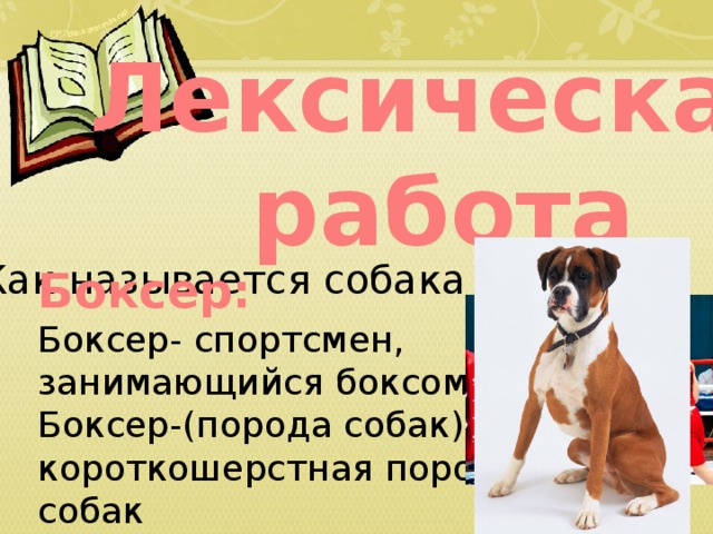 Лексическая работа Как называется собака в тексте? Боксер: Боксер- спортсмен, занимающийся боксом. Боксер-(порода собак)-короткошерстная порода собак     