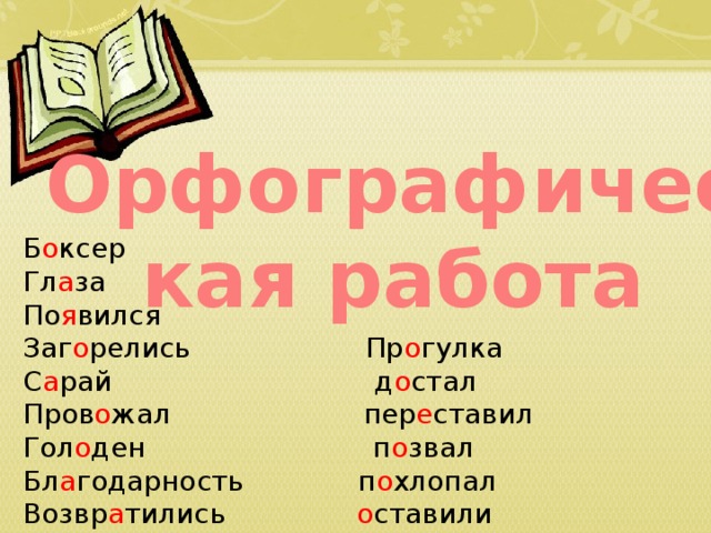 Орфографическая работа Б о ксер Гл а за По я вился Заг о релись Пр о гулка С а рай д о стал Пров о жал пер е ставил Гол о ден п о звал Бл а годарность п о хлопал Возвр а тились о ставили 