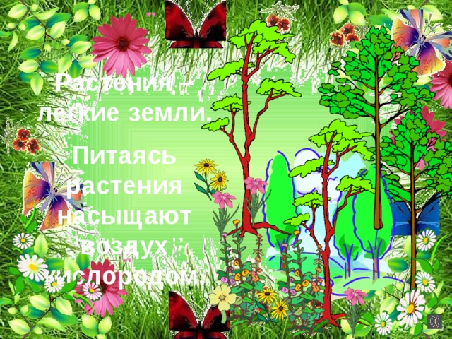 Растения – легкие земли. Питаясь растения насыщают воздух кислородом. 