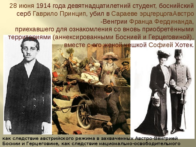 28 июня   1914 года девятнадцатилетний студент, боснийский серб  Гаврило Принцип , убил в  Сараеве   эрцгерцога Австро -Венгрии   Франца Фердинанда , приехавшего для ознакомления со вновь приобретёнными территориями (аннексированными Боснией и Герцеговиной), вместе с его женой чешкой  Софией Хотек . как следствие австрийского режима в захваченных Австро-Венгрией Боснии и Герцеговине, как следствие национально-освободительного подъема южных славян 