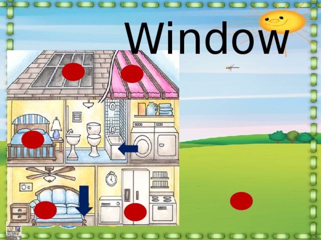 Window  