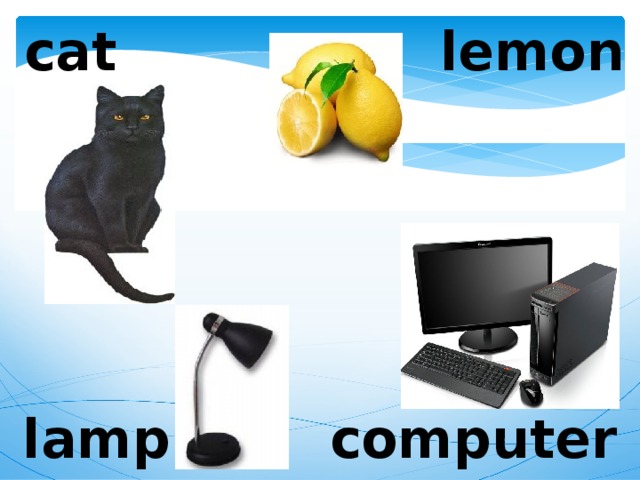cat lemon lamp computer 
