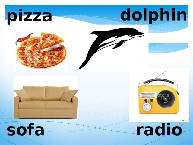 dolphin pizza radio sofa 