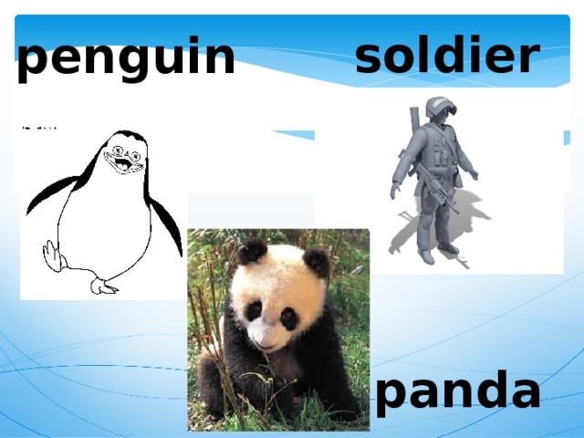 soldier penguin panda 