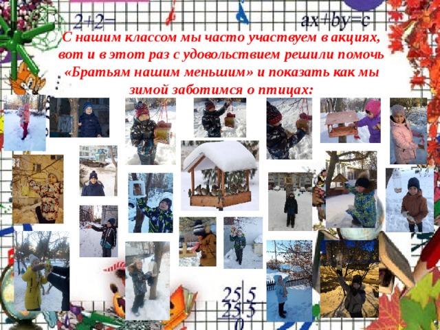 С нашим классом мы часто участвуем в акциях, вот и в этот раз с удовольствием решили помочь «Братьям нашим меньшим» и показать как мы зимой заботимся о птицах: 