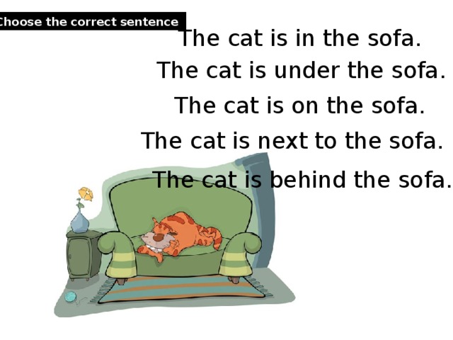 Choose the correct sentence . The cat is in the sofa. The cat is under the sofa. The cat is on the sofa. The cat is next to the sofa. The cat is behind the sofa. Choose the correct sentence.