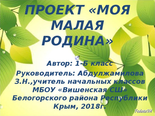 ПРОЕКТ «МОЯ МАЛАЯ РОДИНА» Автор: 1-Б класс Руководитель: Абдулжамилова З.Н.,учитель начальных классов МБОУ «Вишенская СШ» Белогорского района Республики Крым, 2018г.  