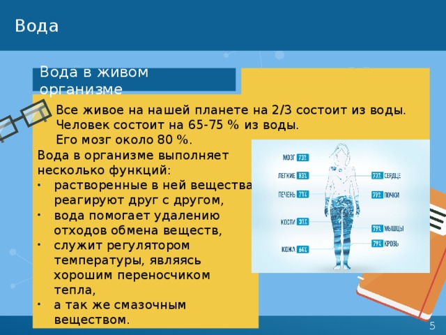 Вода Вода в живом организме Все живое на нашей планете на 2/3 состоит из воды. Человек состоит на 65-75 % из воды.  Его мозг около 80 %. Вода в организме выполняет несколько функций: растворенные в ней вещества реагируют друг с другом, вода помогает удалению отходов обмена веществ, служит регулятором температуры, являясь  хорошим переносчиком тепла, а так же смазочным веществом. 