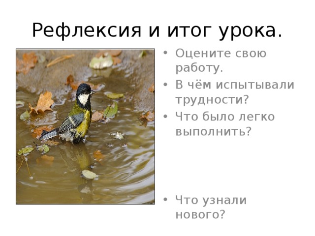 Рефлексия и итог урока. Оцените свою работу. В чём испытывали трудности? Что было легко выполнить? Что узнали нового? 