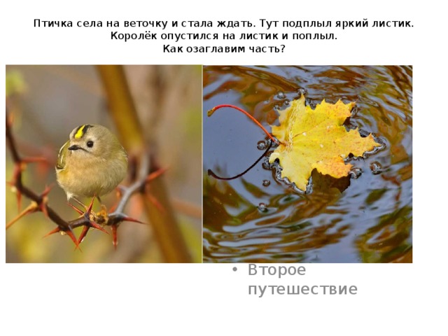 Птичка села на веточку и стала ждать. Тут подплыл яркий листик. Королёк опустился на листик и поплыл.  Как озаглавим часть?   Второе путешествие 