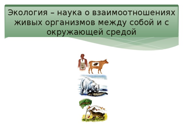 Экология – наука о взаимоотношениях живых организмов между собой и с окружающей средой 