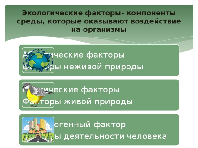 Экологические факторы- компоненты среды, которые оказывают воздействие на организмы Абиотические факторы факторы неживой природы Биотические факторы Факторы живой природы Антропогенный фактор Факторы деятельности человека 