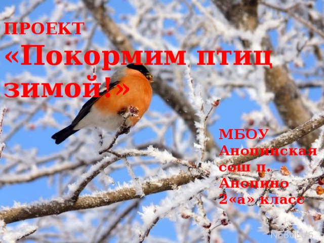ПРОЕКТ  «Покормим птиц зимой!» МБОУ Анопинская сош п. Анопино 2«а» класс 