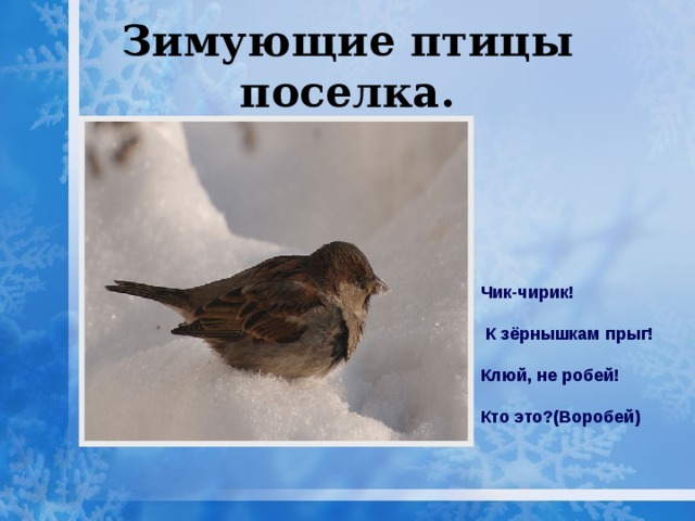 Зимующие птицы поселка. Чик-чирик!   К зёрнышкам прыг! Клюй, не робей! Кто это?(Воробей) 