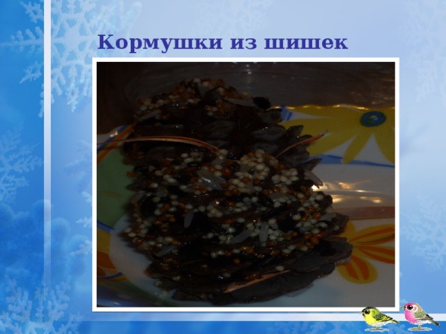 Кормушки из шишек 