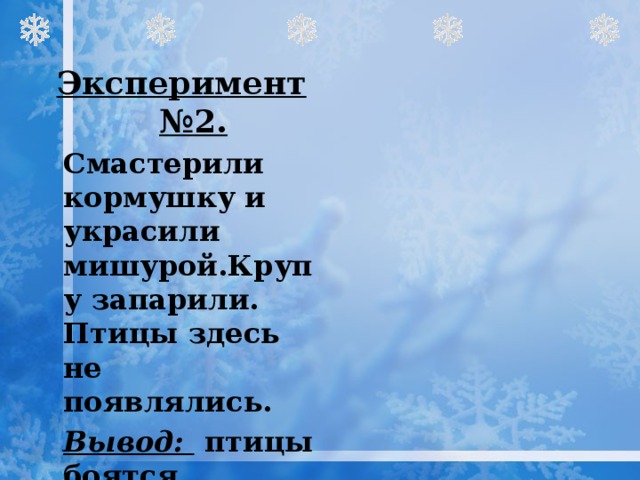  Эксперимент №2.  Смастерили кормушку и украсили мишурой.Крупу запарили. Птицы здесь не появлялись.    Вывод: птицы боятся блестящих предметов. 